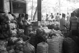 A bustling market scene with several people engaged in various activities. Large sacks and bundles of produce are stacked high, including what appears to be onions, coconuts, and other vegetables. Most of the individuals in the scene are dressed in casual clothing, and the setting has an open, shaded area with more produce visible in the background.