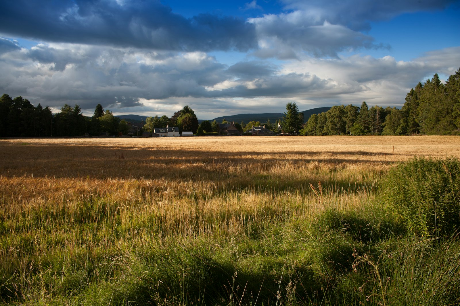 Tokina AT-X 280 AF Pro 28-80mm f/2.8 Aspherical sample photo. Green grass photography