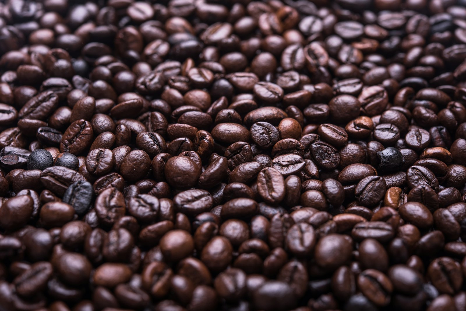 Nikon D810 + Nikon AF-S Micro-Nikkor 60mm F2.8G ED sample photo. Photograph of roasted coffee photography