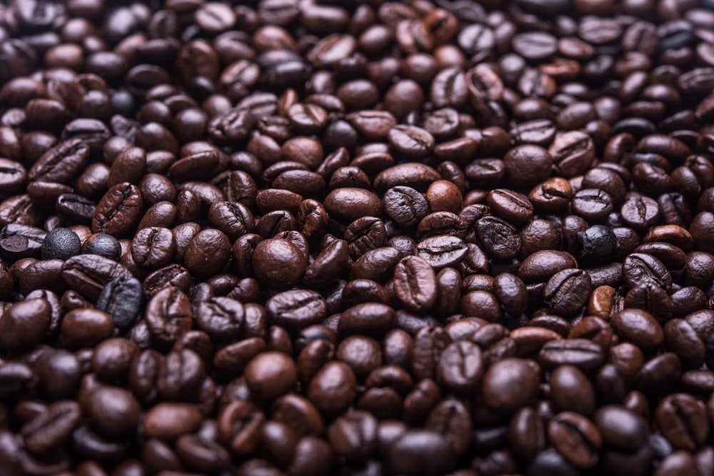 photograph of roasted coffee beans