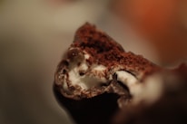 A close-up of a bitten chocolate-covered food item, revealing a creamy white filling inside. The surface has a rich, dark brown color with some crumbly texture visible in the cross-section.