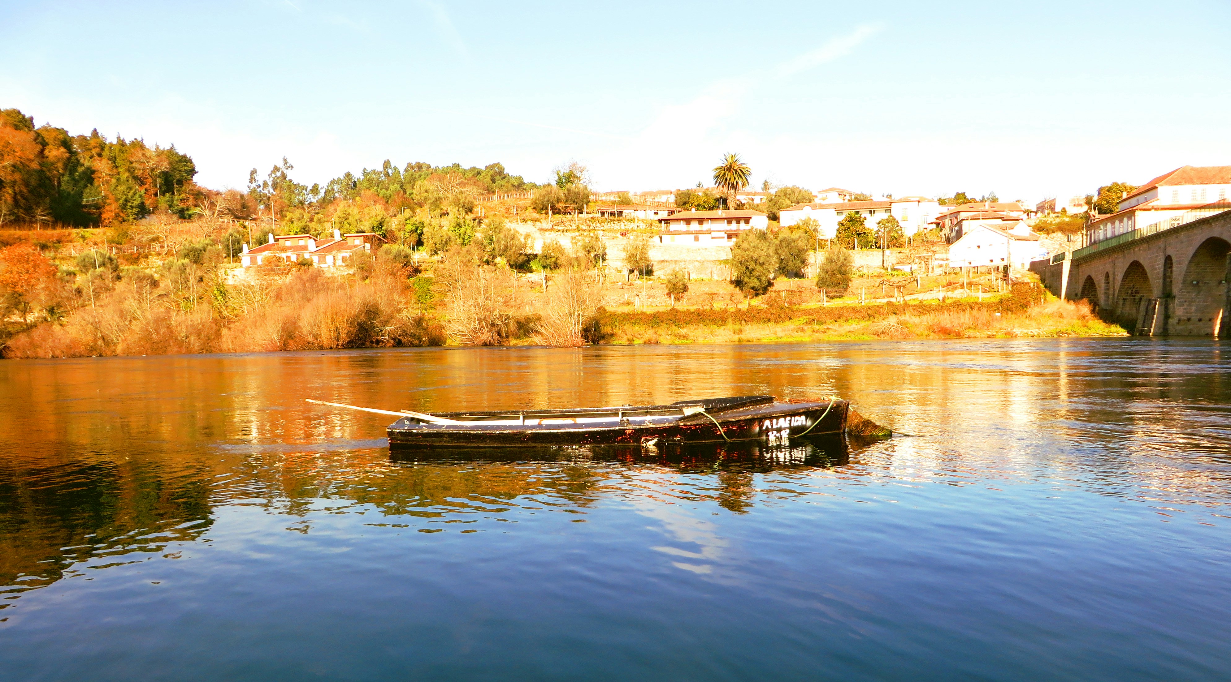 Free Unsplash photo from carlos meira