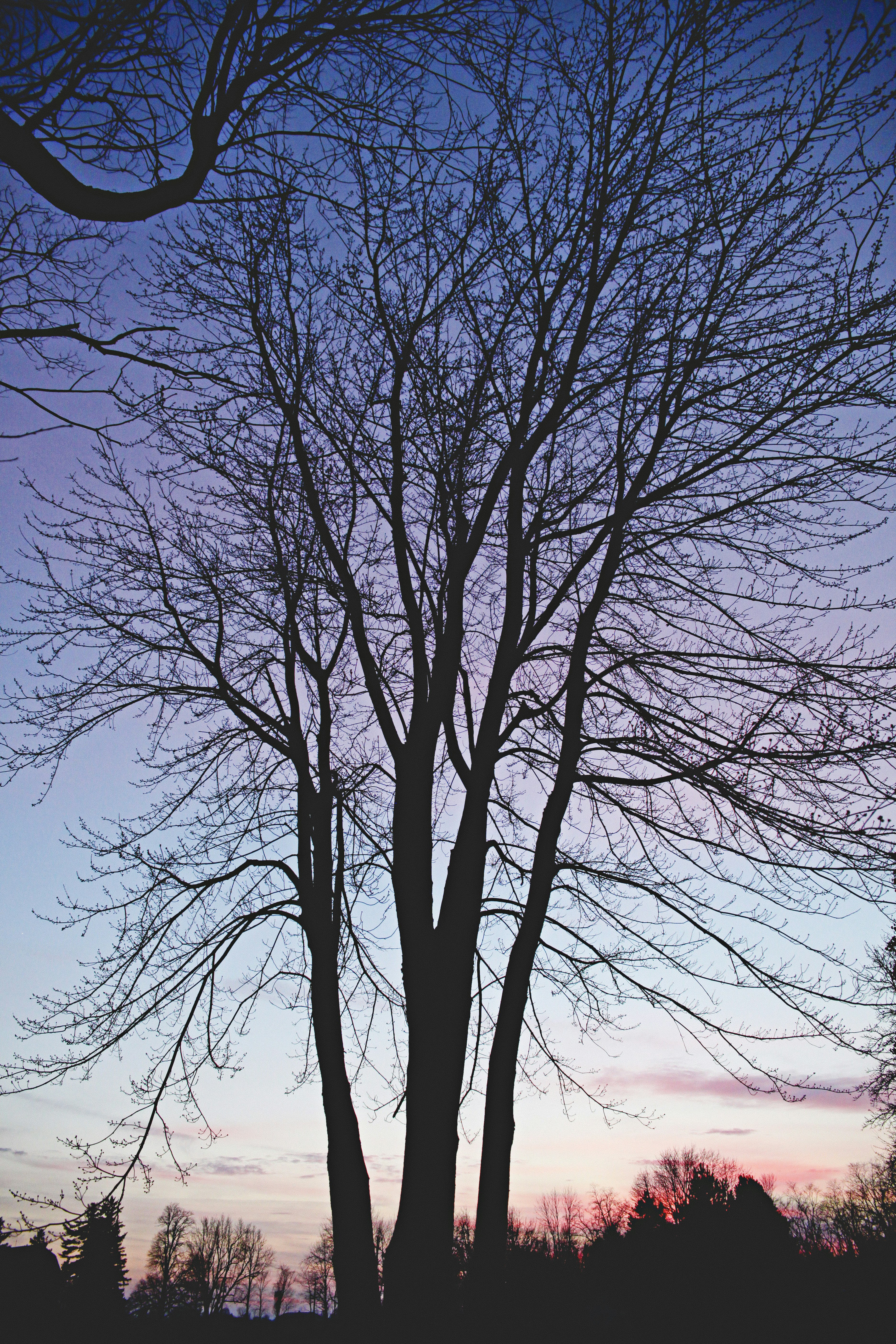 Free Unsplash photo from Taylor Jacobs