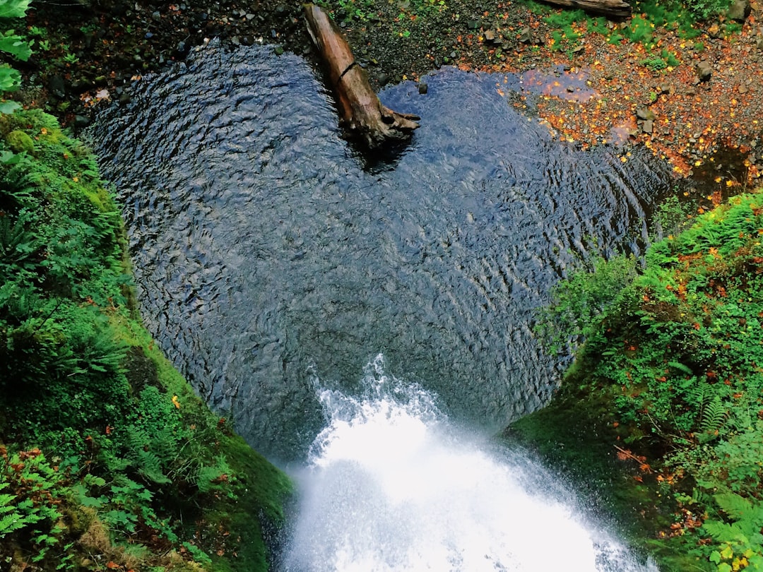 waterfalls scenery, Heart-shaped pond with a waterfall