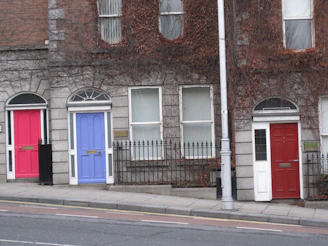A row of colorful entry doors showcasing different styles and finishes.