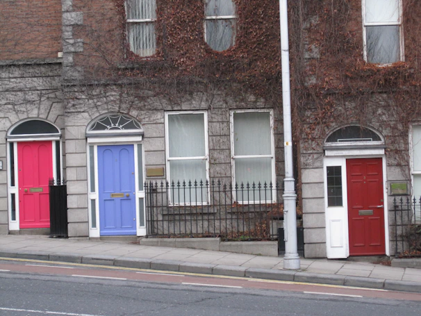 A row of colorful entry doors showcasing different styles and finishes.