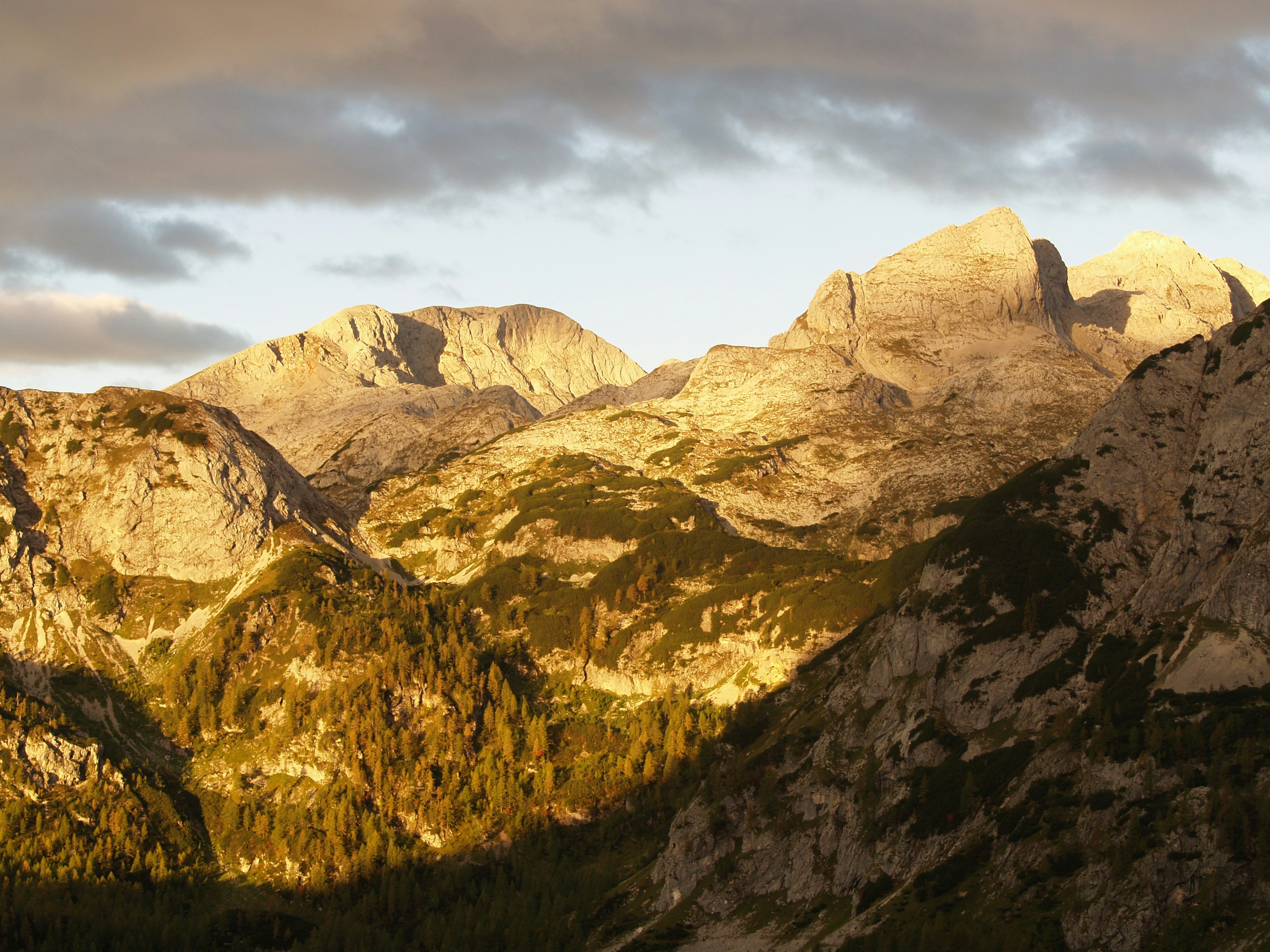 Free Unsplash photo from Steve Feeney