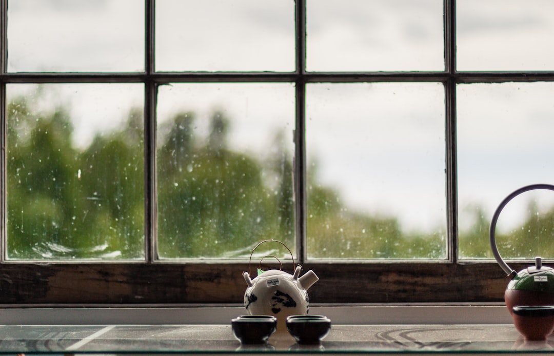 white and black cow figurine on window