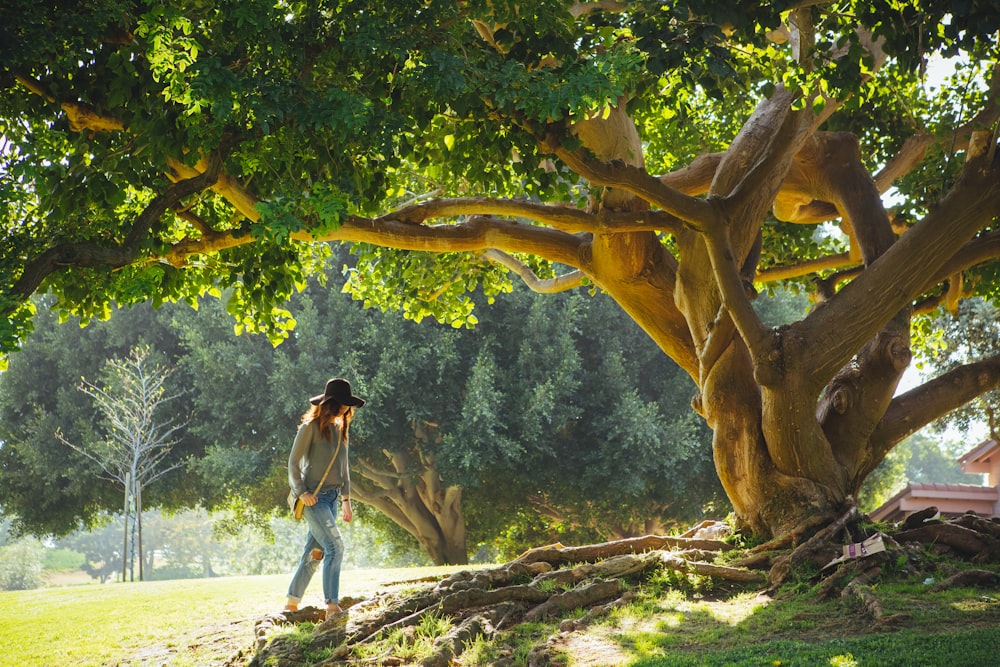 Mujer caminando bajo el árbol durante el día