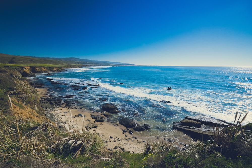 photo of sea waves