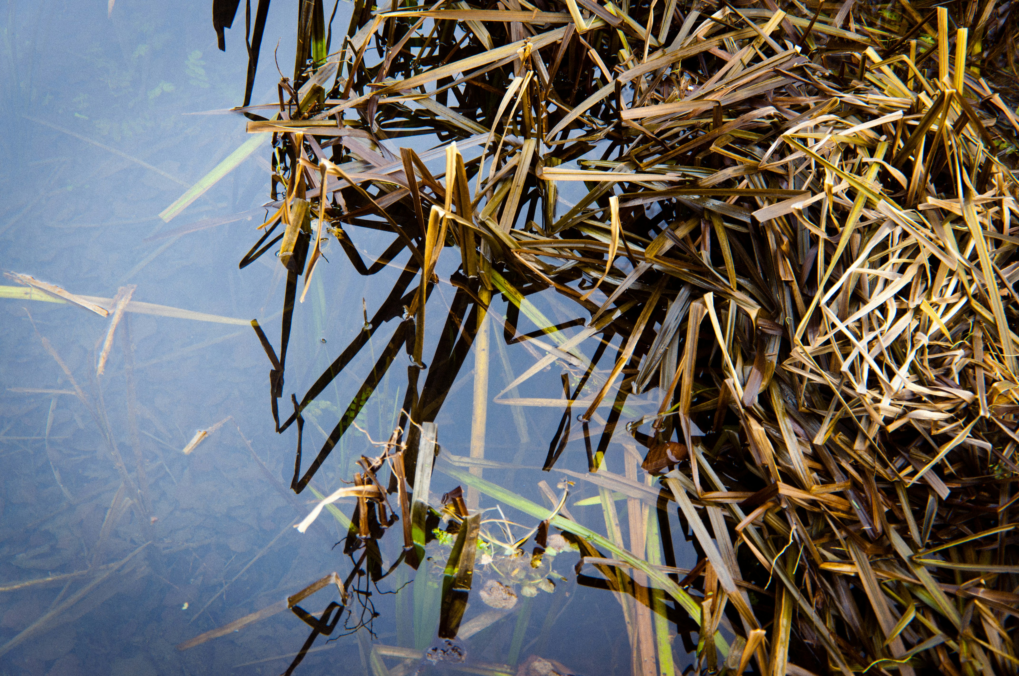 Free Unsplash photo from Luka Ostojic