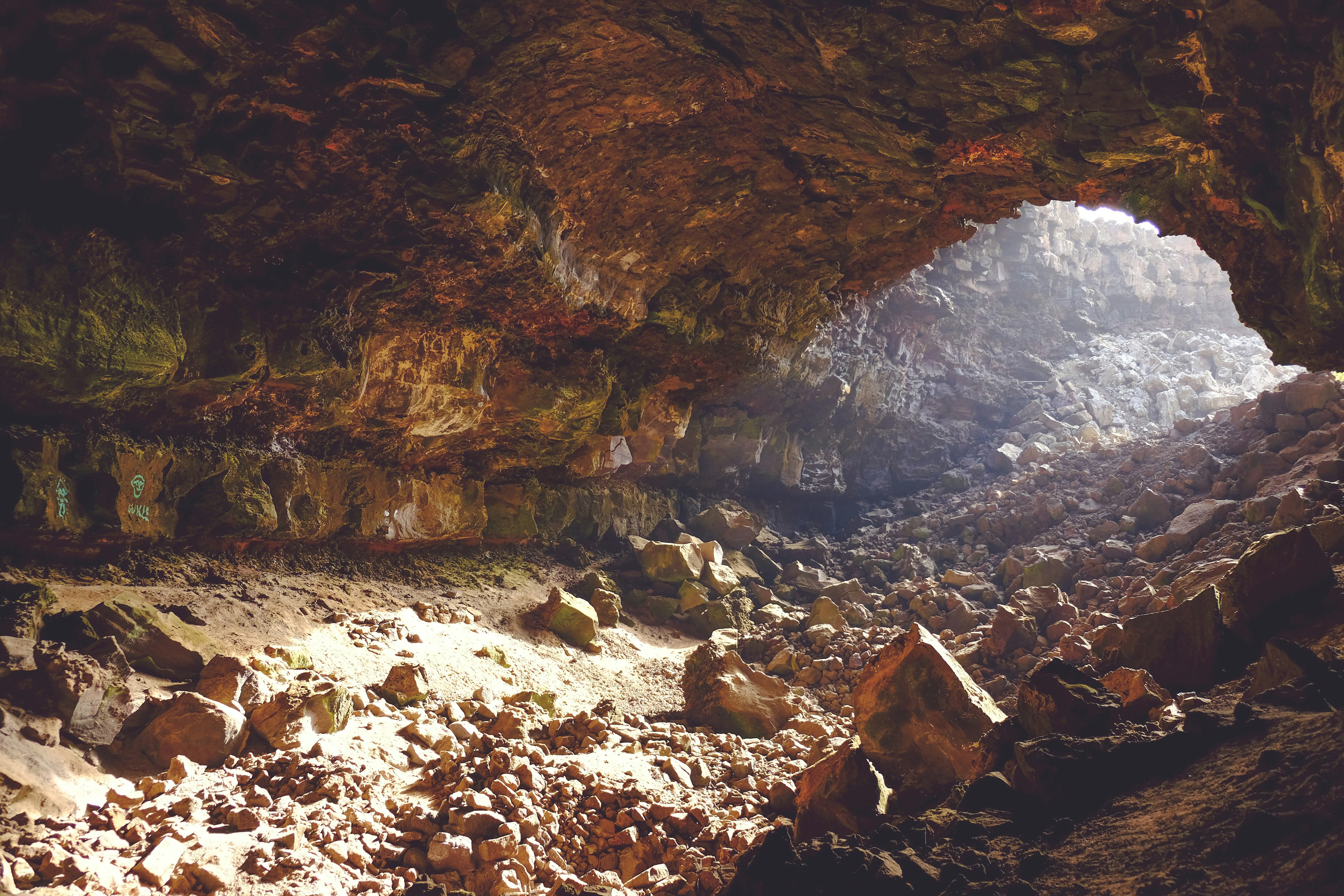 Fragile Darkness: The Escalating Threats to America's Underground Ecosystems and the Scientists Racing to Respond