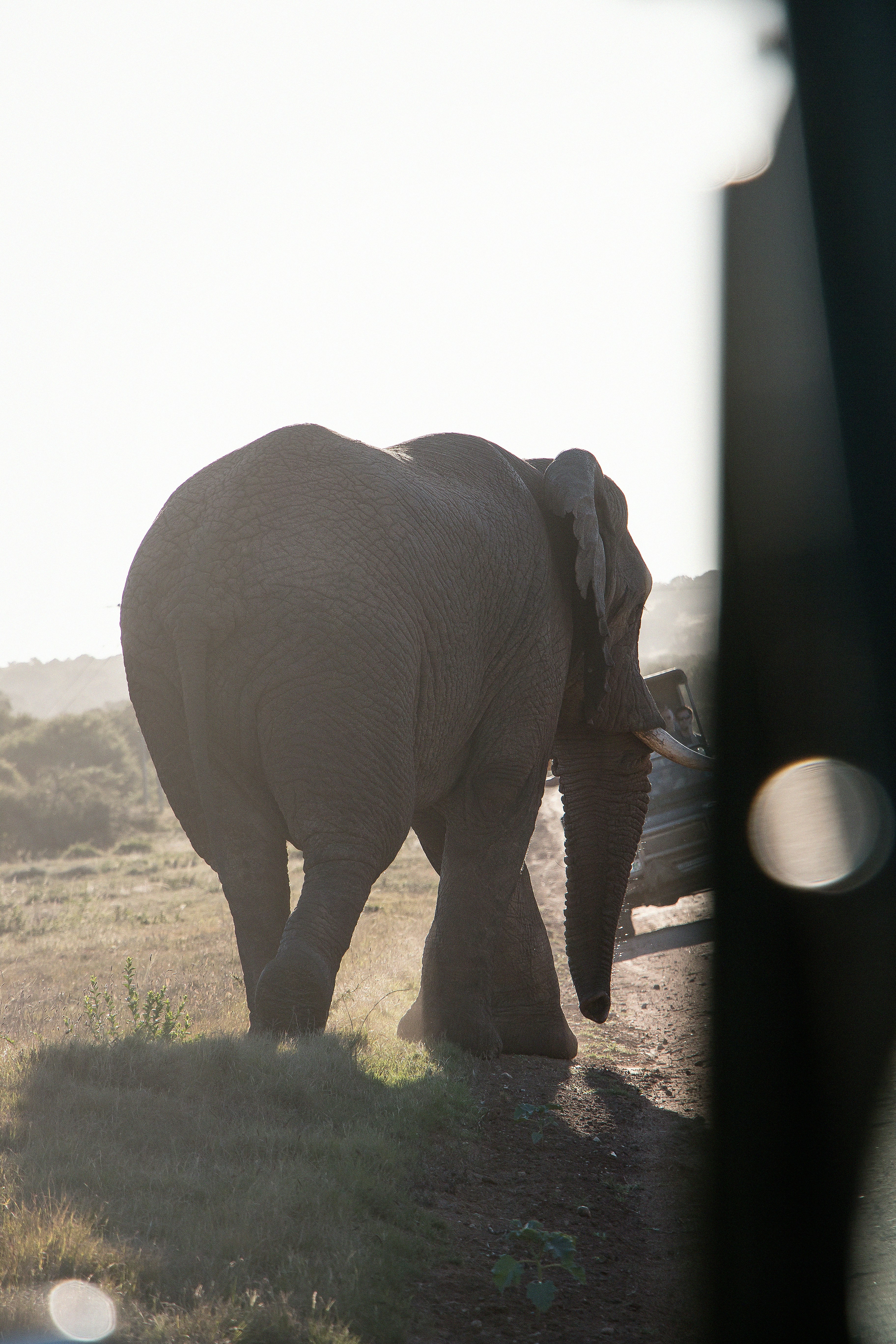 Free Unsplash photo from Lagos04