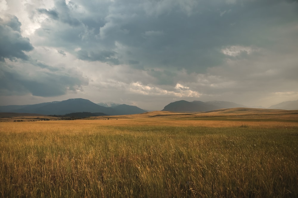 landscape photography of grass plains under cloudy sky during daytime