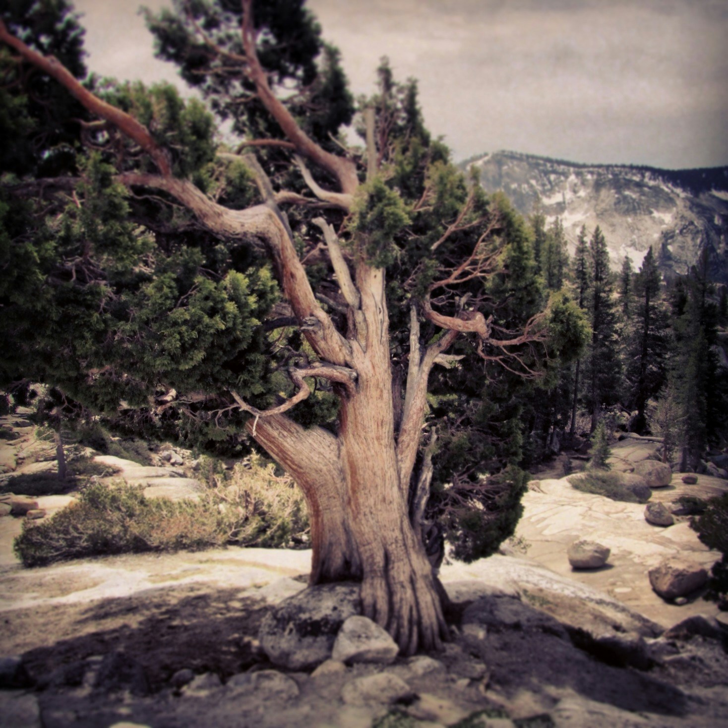 Free Unsplash photo from Anne McGinn