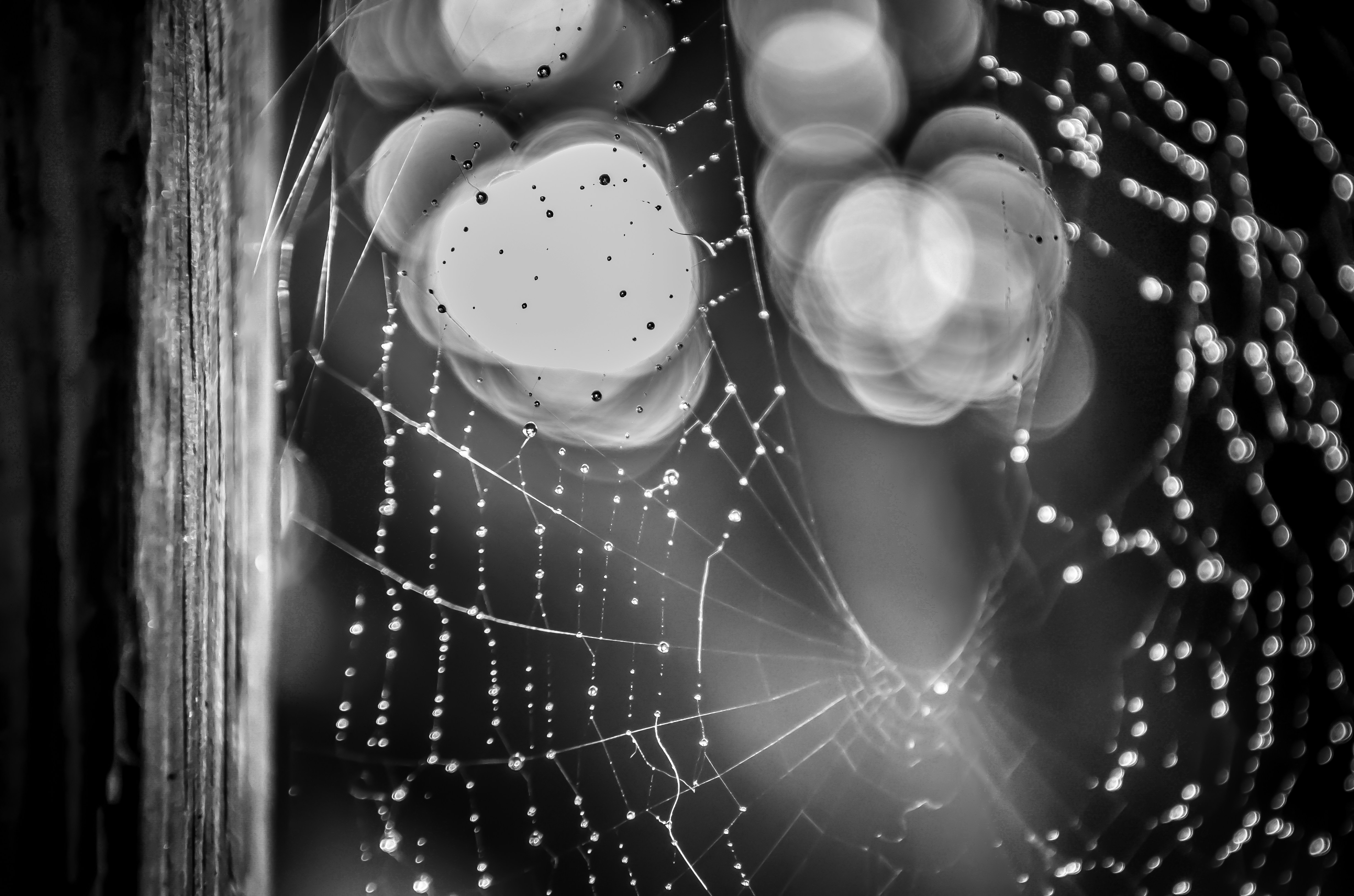 Free Unsplash photo from Steve Richey