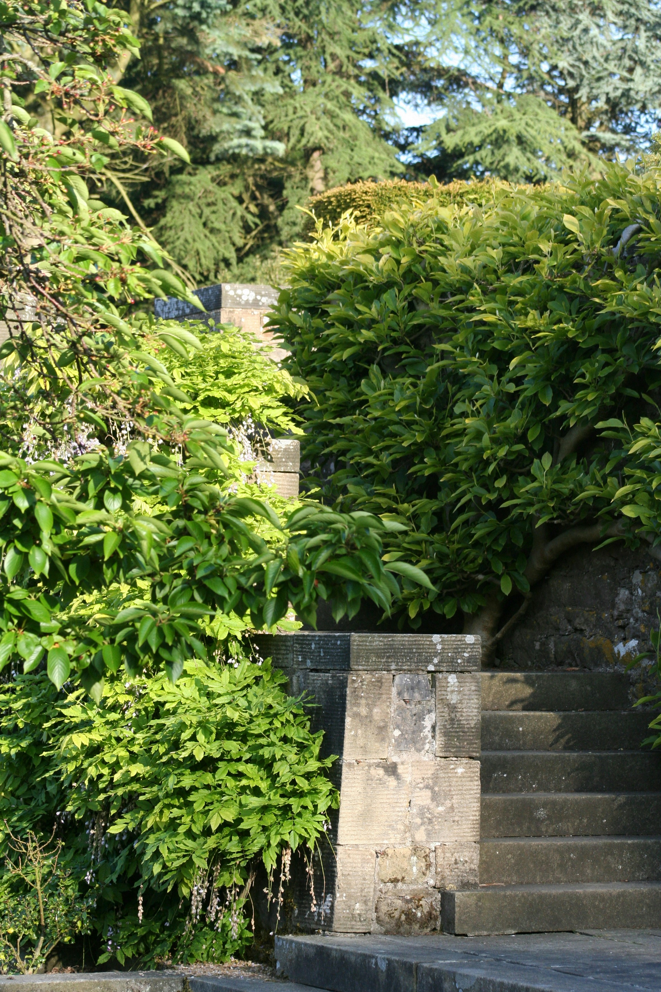 Free Unsplash photo from Duncan Fraser