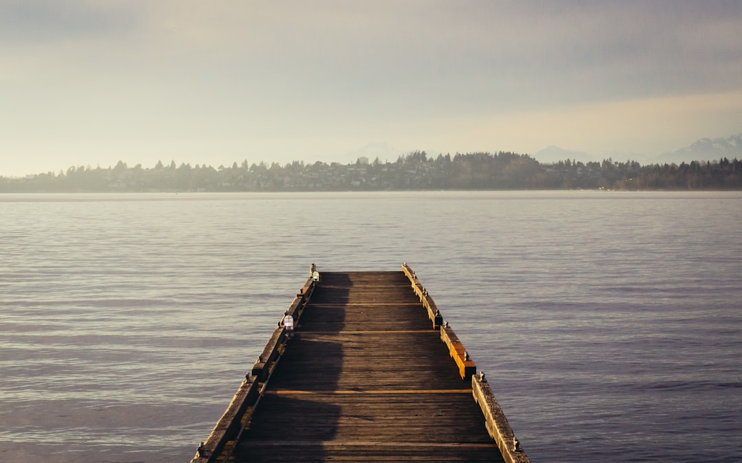 brown wooden dockside beside sea