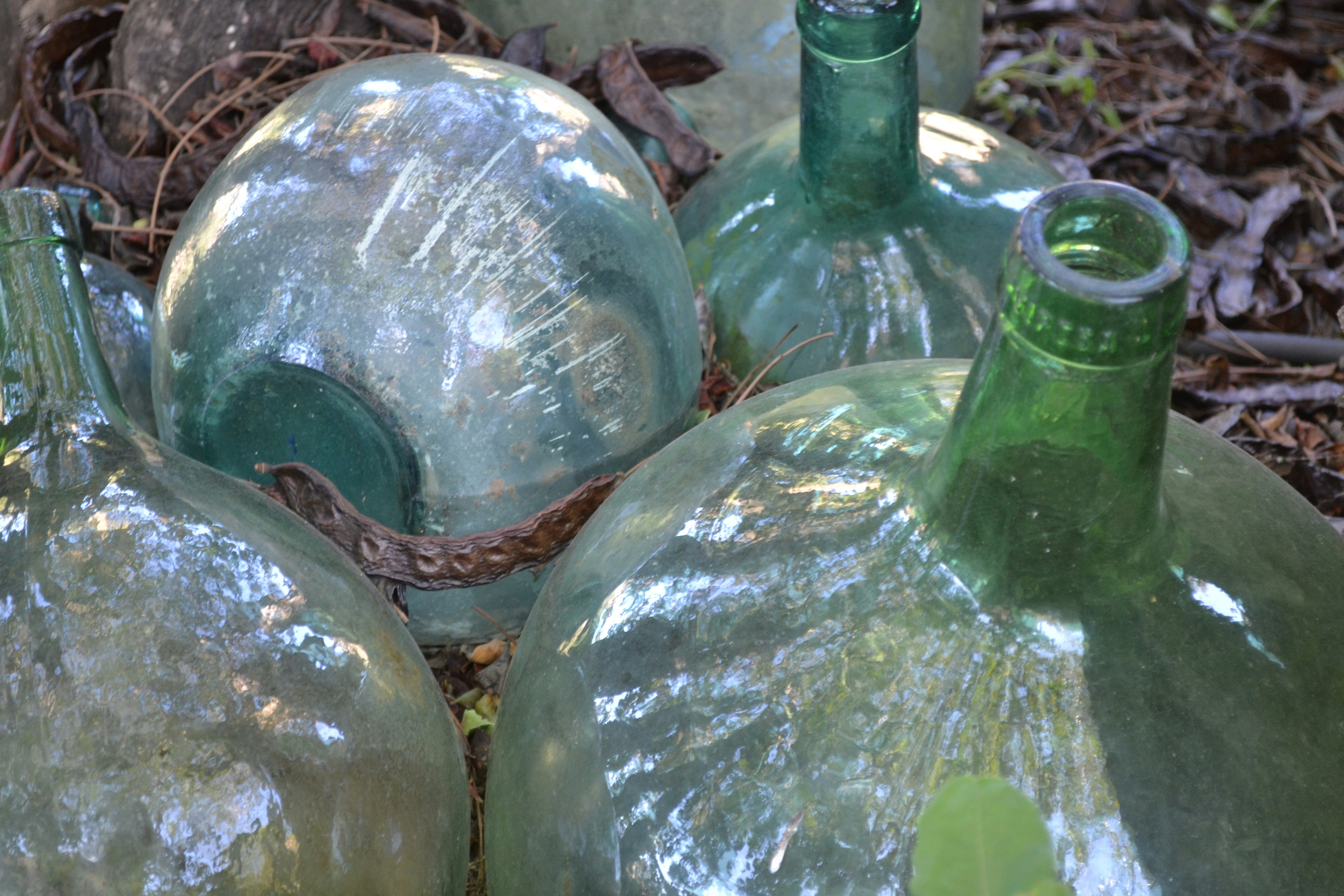 Free Unsplash photo from corinke moerdijk