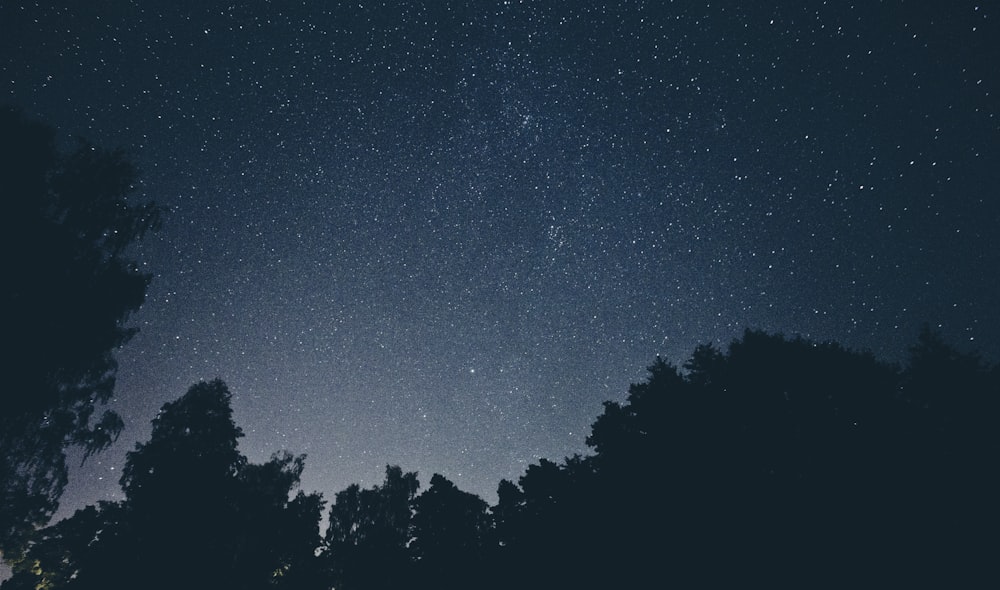Der Himmel füllt sich mit Sternenfotografie in der Nacht
