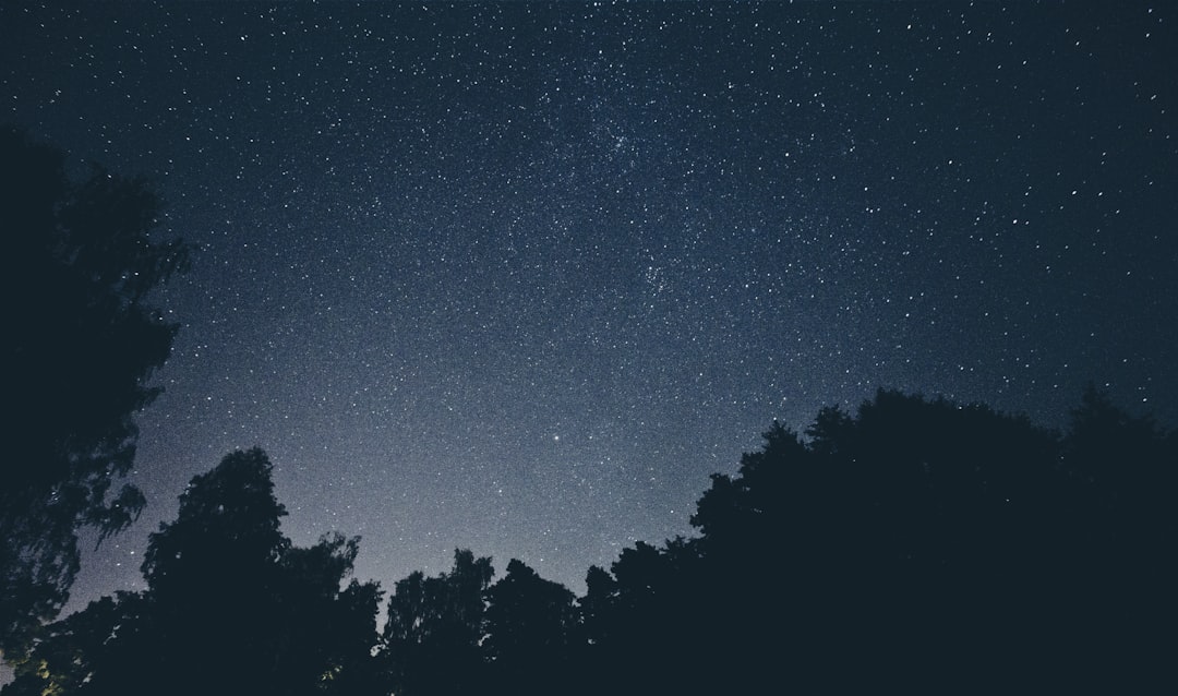 sky filled with stars photography during nighttime