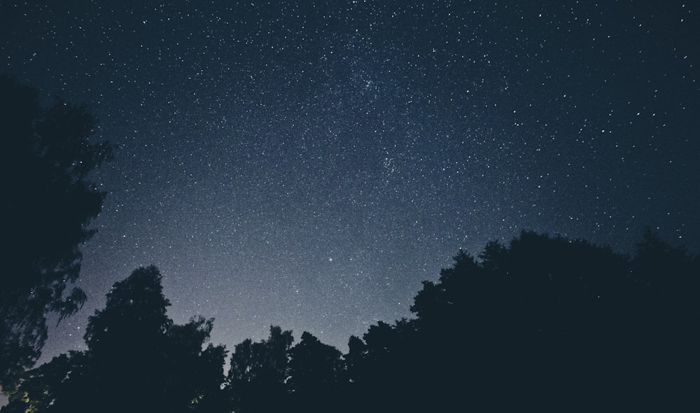 Fotografía del cielo lleno de estrellas durante la noche