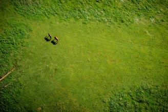 aerial view of grass grass field during daytime