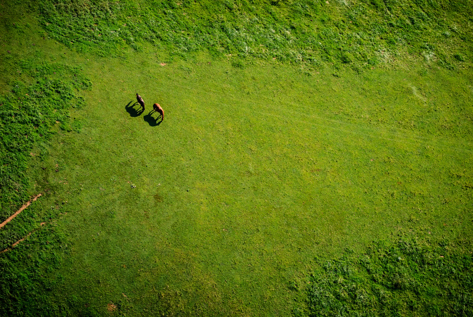 Aerial view of manicured grass field at a federal facility