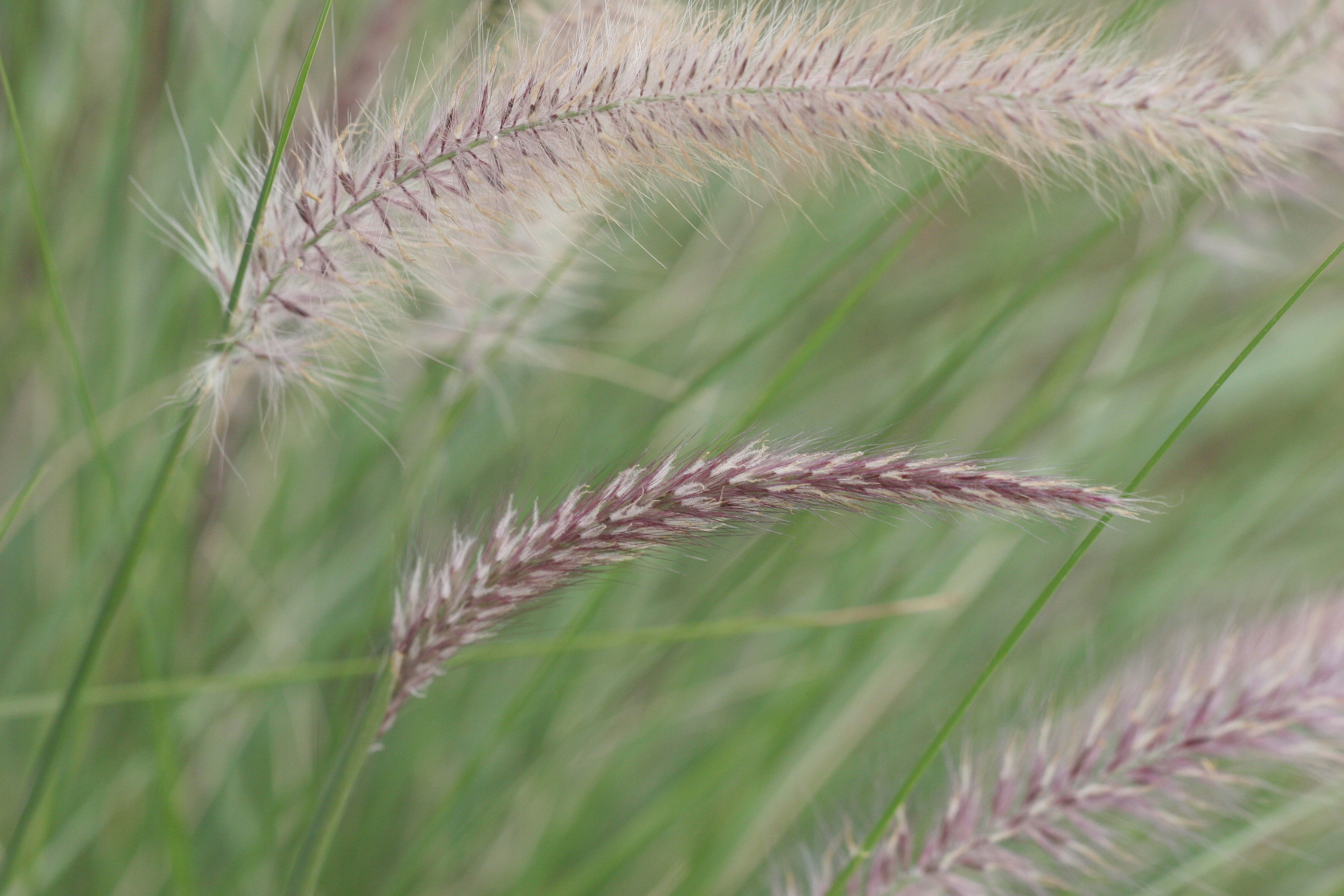 Free Unsplash photo from sonny trinidad