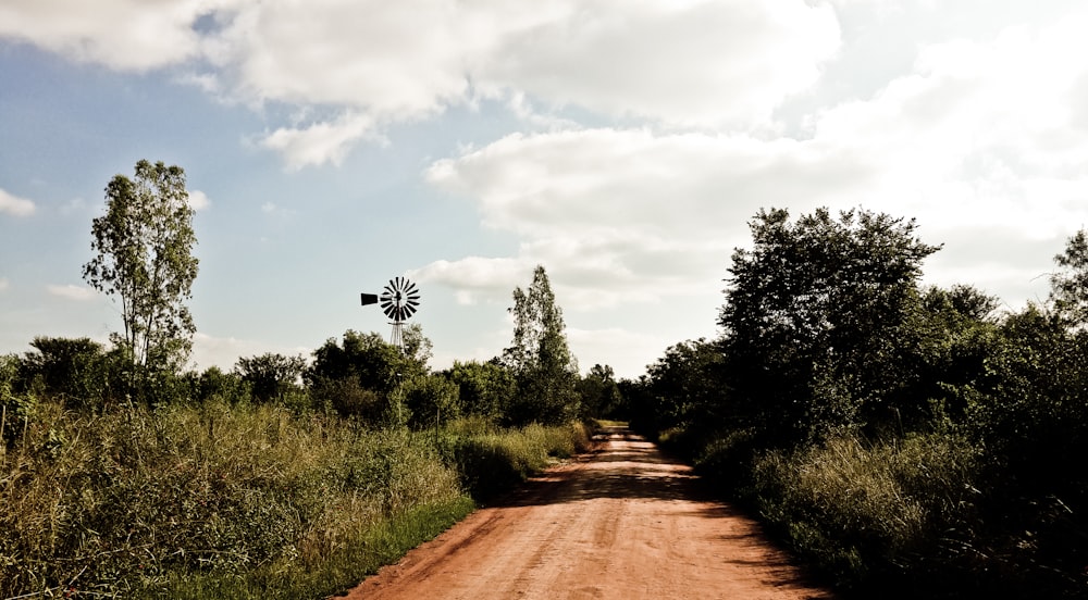 Camino marrón entre los árboles