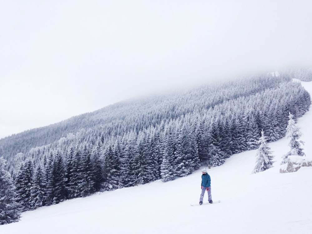 person snowboarding surrounded by trees