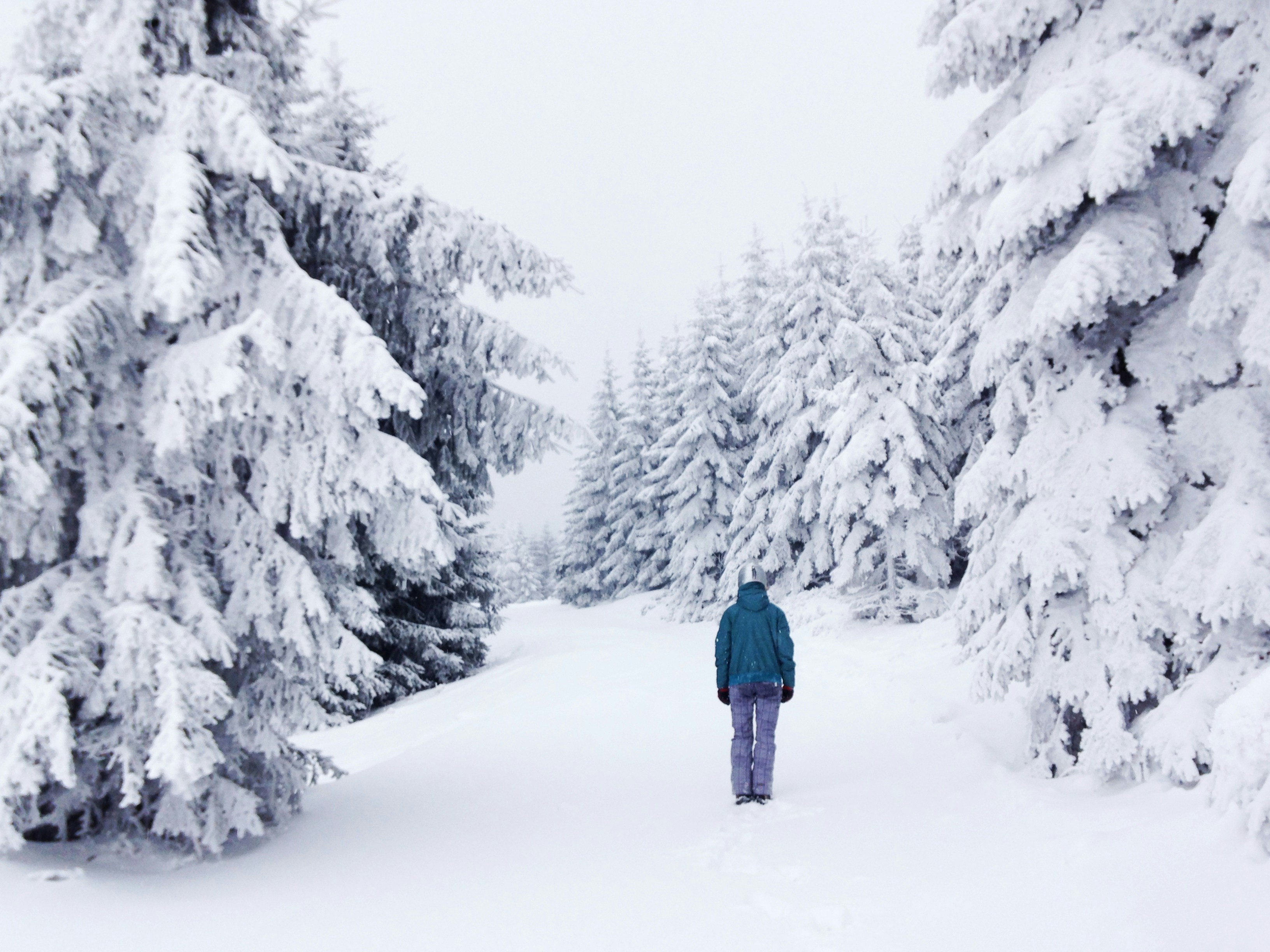 Free Unsplash photo from Tomas Kodydek