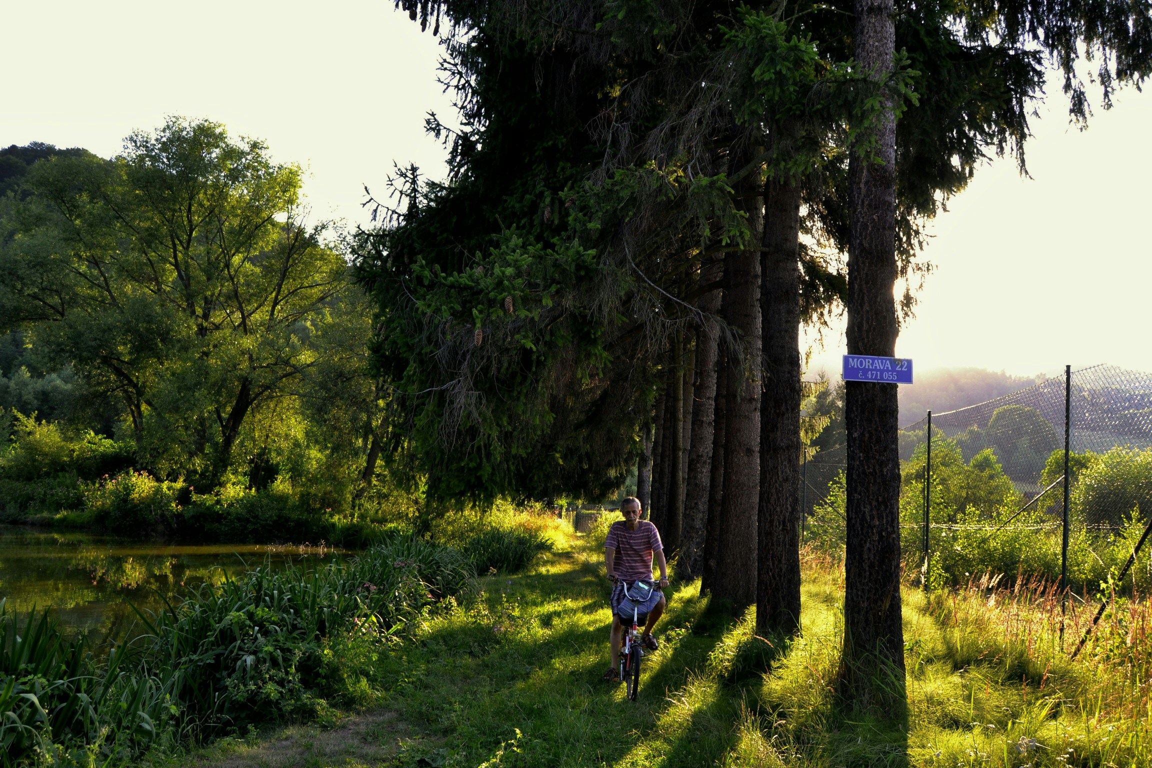 Free Unsplash photo from Tomas Kodydek