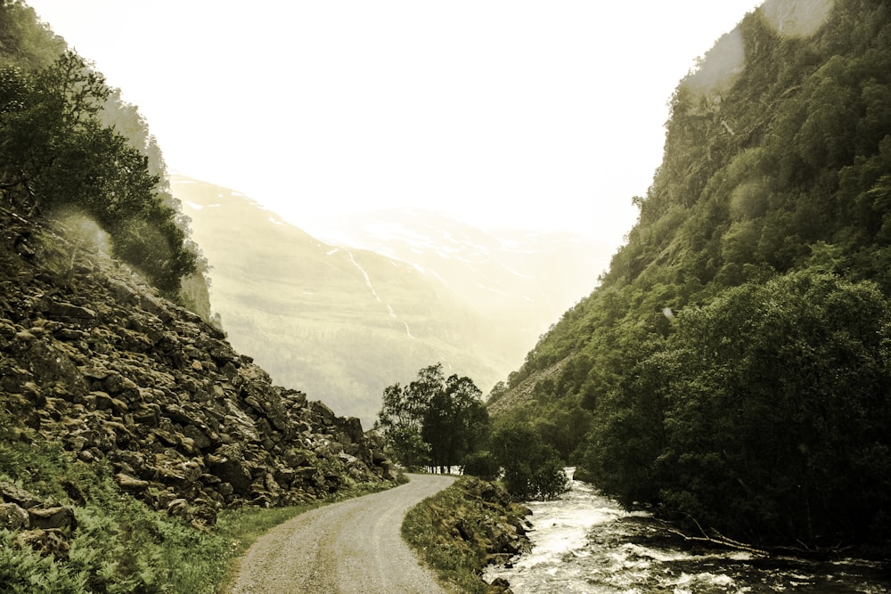 gray road beside river in the middle of green trees-covered hills