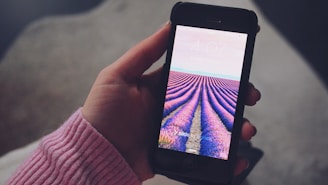 A hand holding a smartphone displaying a lock screen with a vibrant image of a lavender field stretching into the distance. The hand is wearing a pink knitted sleeve.