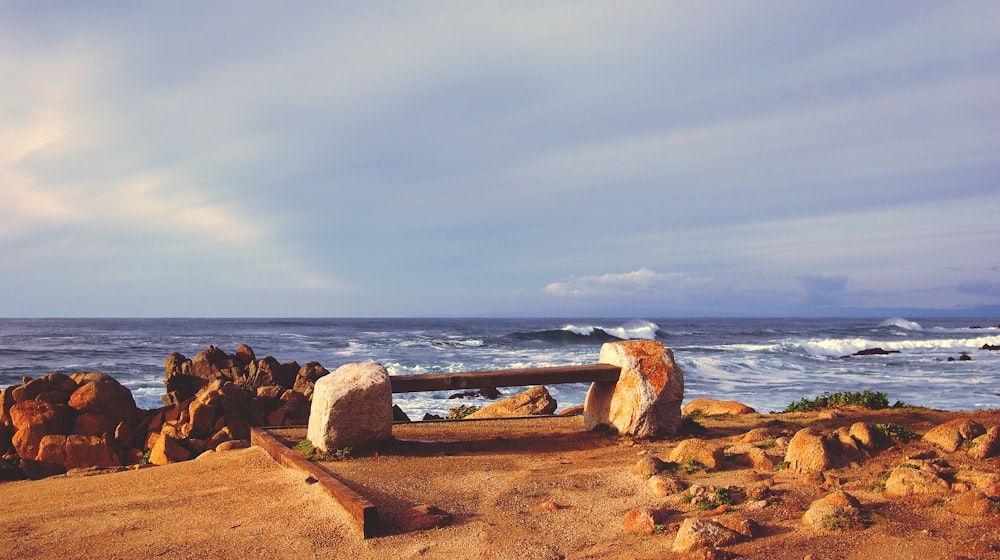 seashore near body of water