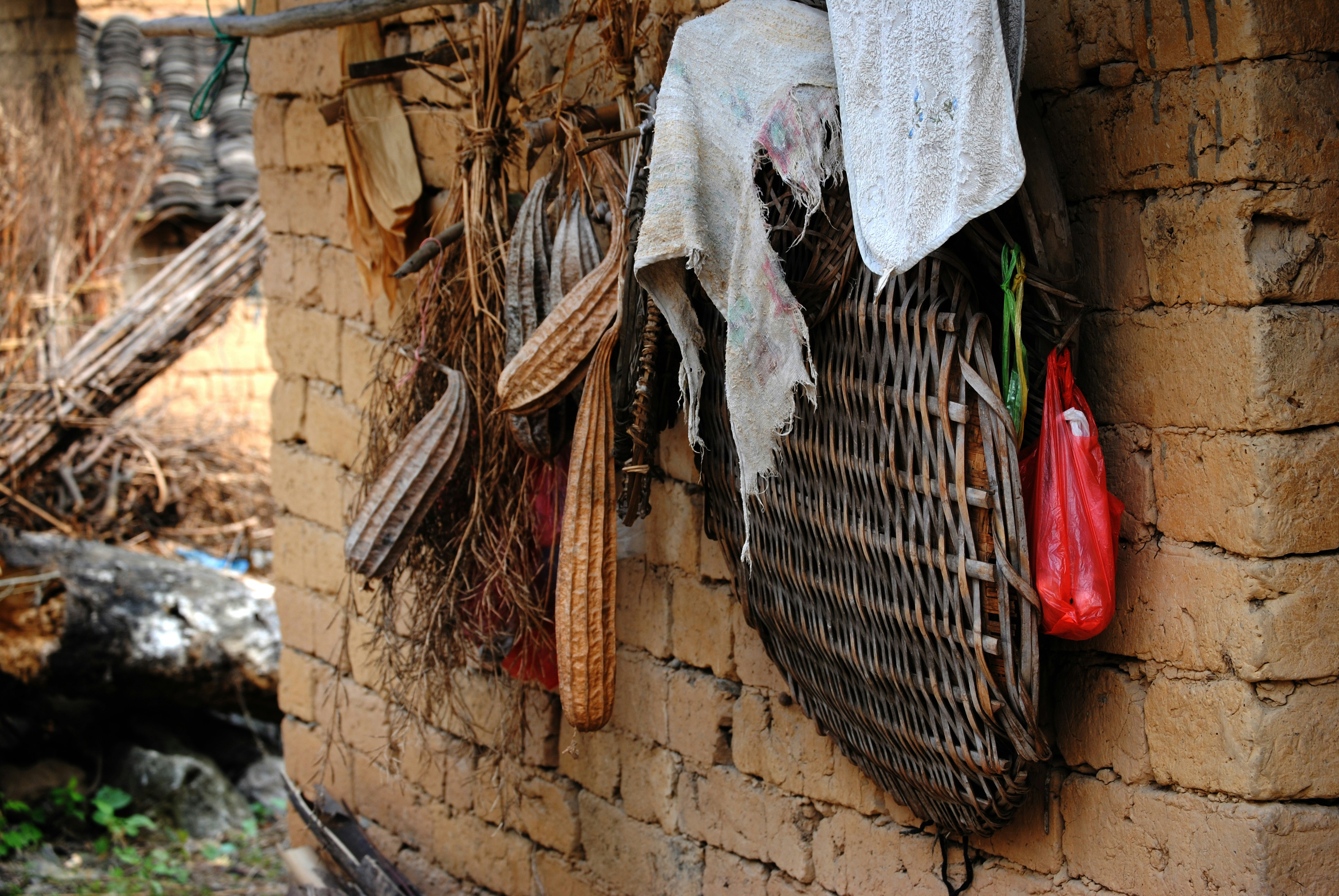 Free Unsplash photo from Jonathan Rice