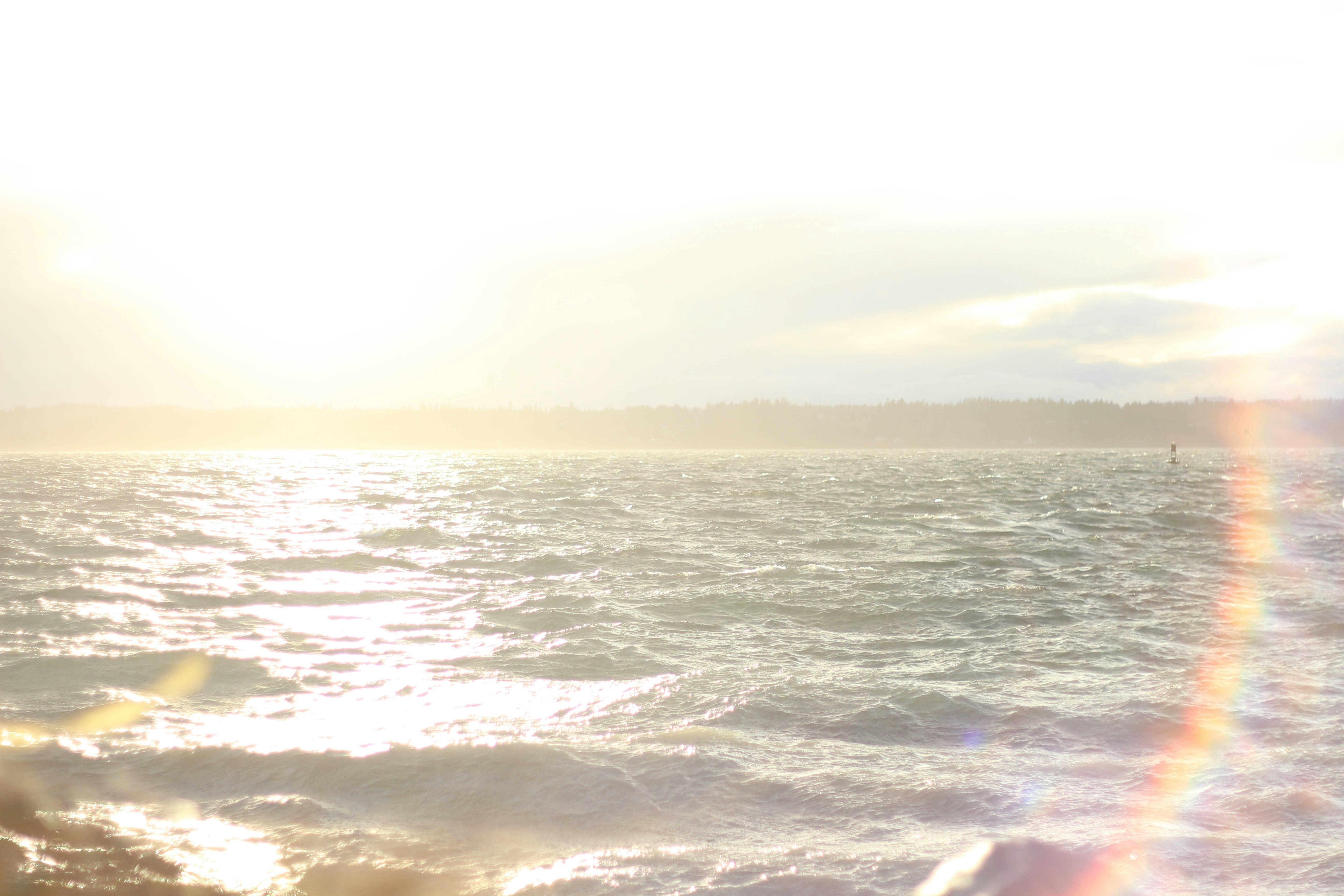 Free Unsplash photo from Mars Williams