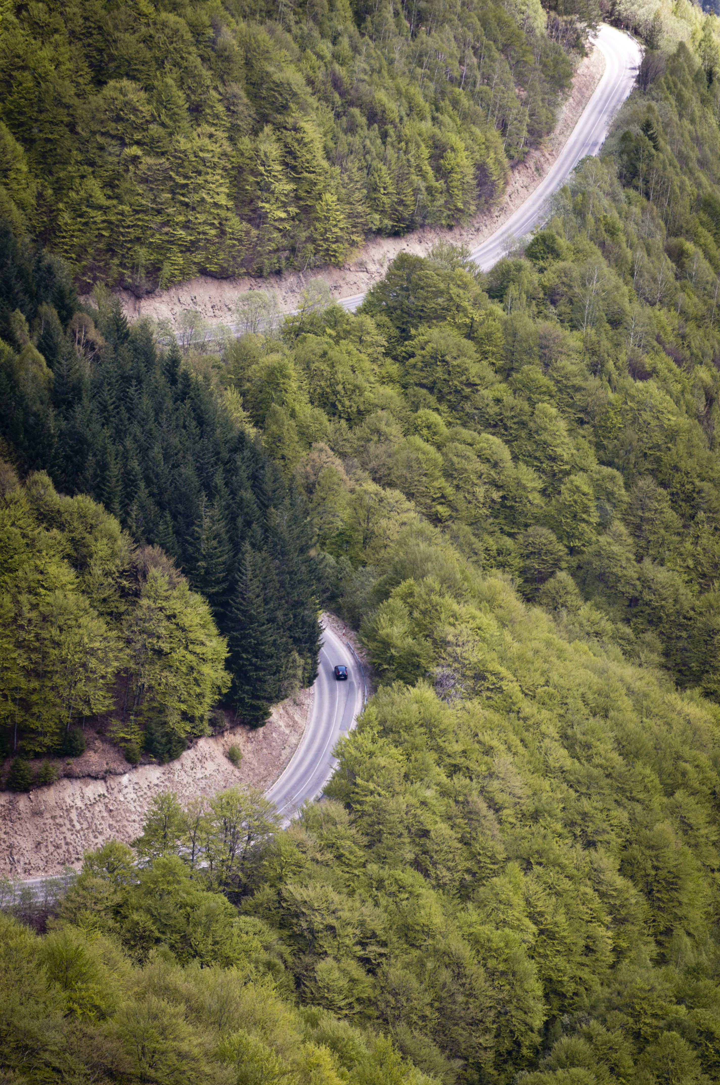 Free Unsplash photo from Luka Ostojic