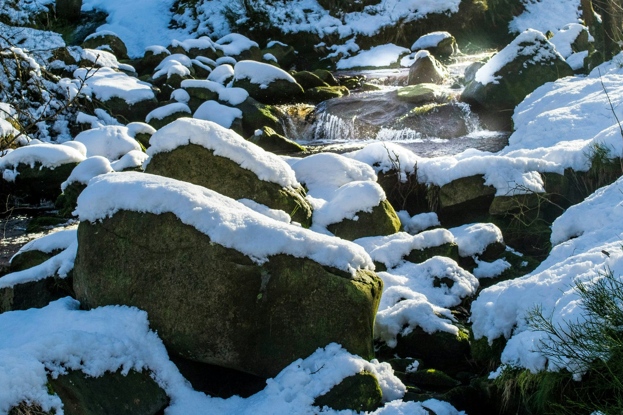 Free Unsplash photo from Rory Ashford