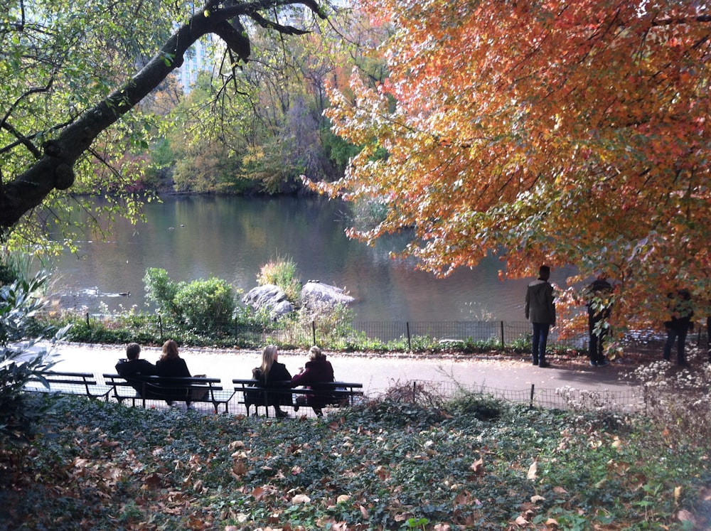 People sitting on benches and standing near a fence at a lake.