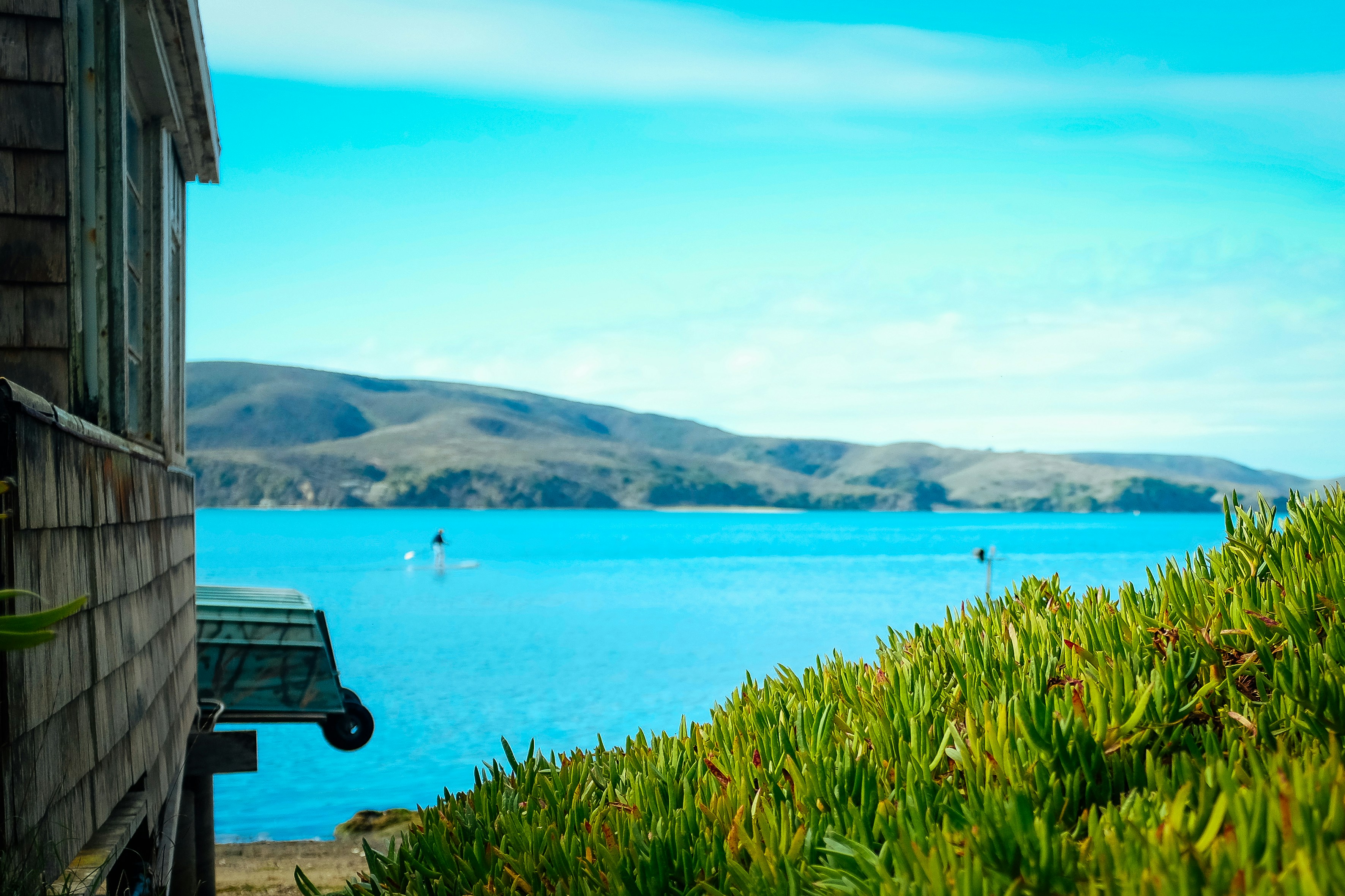 Free Unsplash photo from Pavan Trikutam