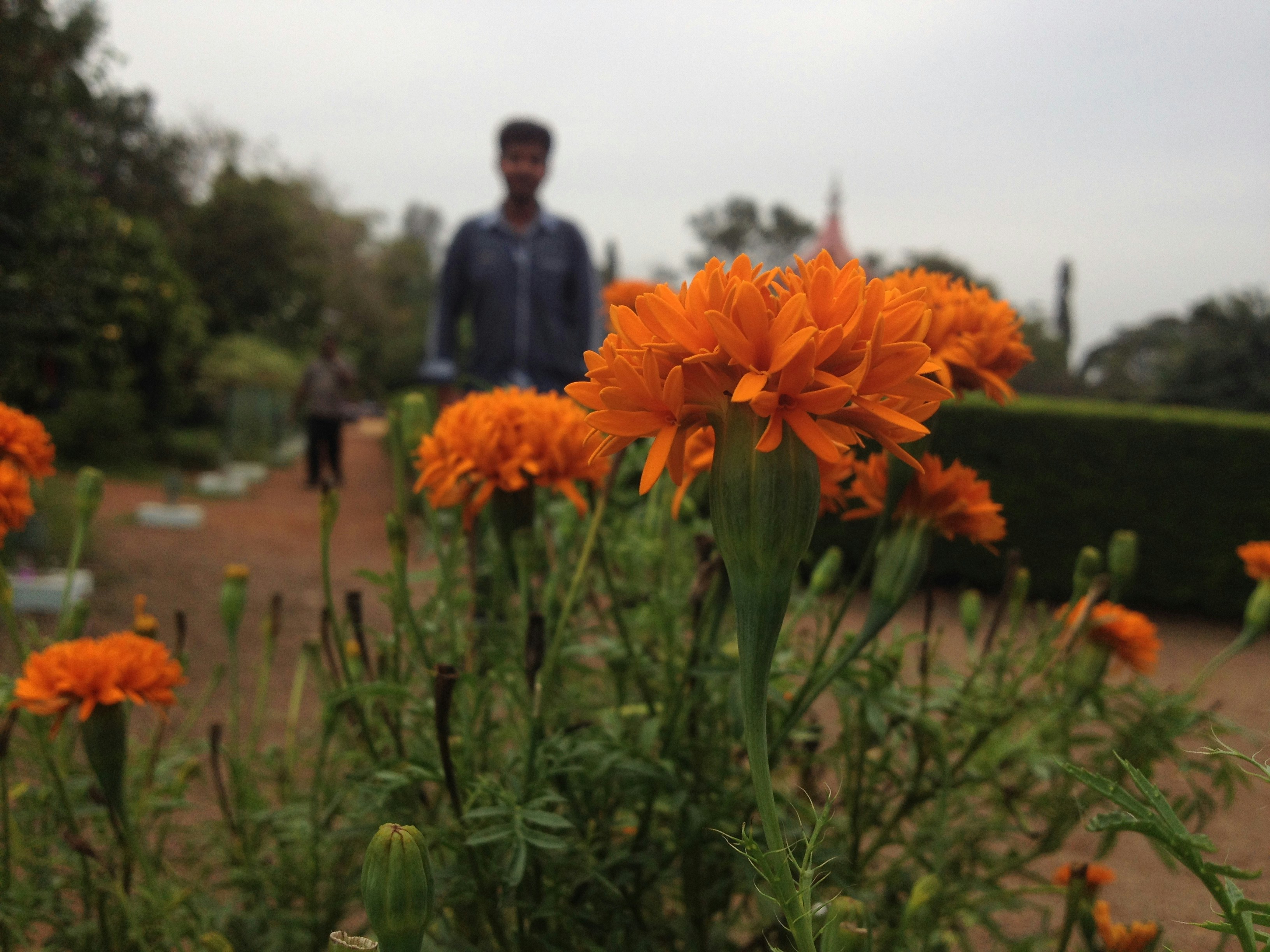 Free Unsplash photo from Renjith Thankappan