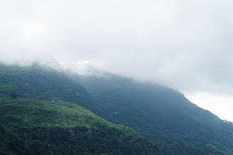 Lush green Western Ghats hills blanketed in mist with winding trails inviting exploration.