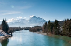 river surrounded by pine trees