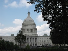 Exterior shot of Domus Caldara building on Viale Emilio Caldara, surrounded by greenery.