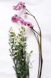 A bright, modern floral arrangement in fuchsia and white tones on a minimalist gray background.
