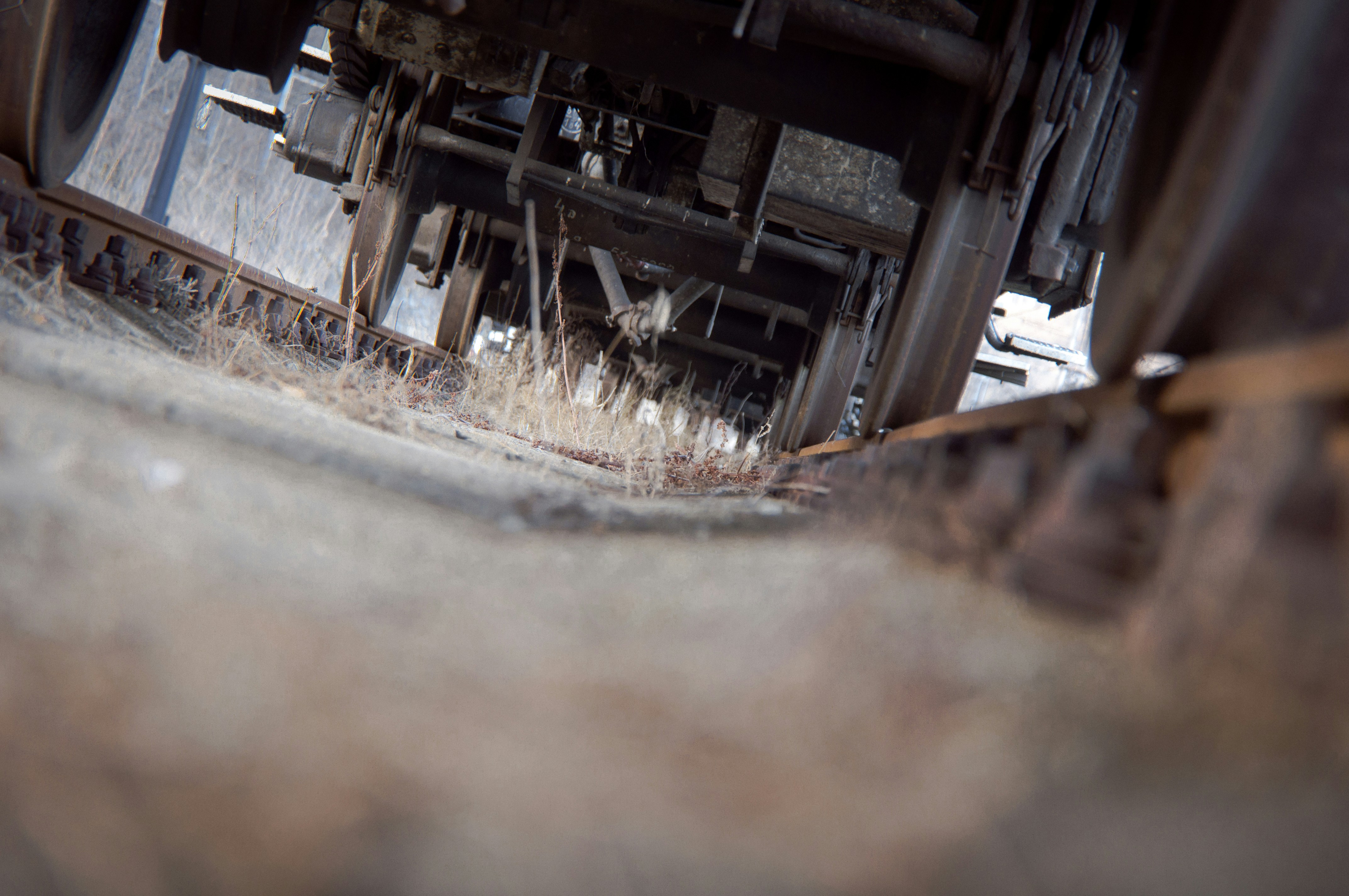 Free Unsplash photo from Luka Ostojic