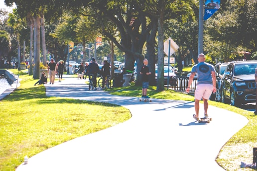 A diverse group of people in a park, some using wheelchairs and others walking, enjoying a sunny day together.
