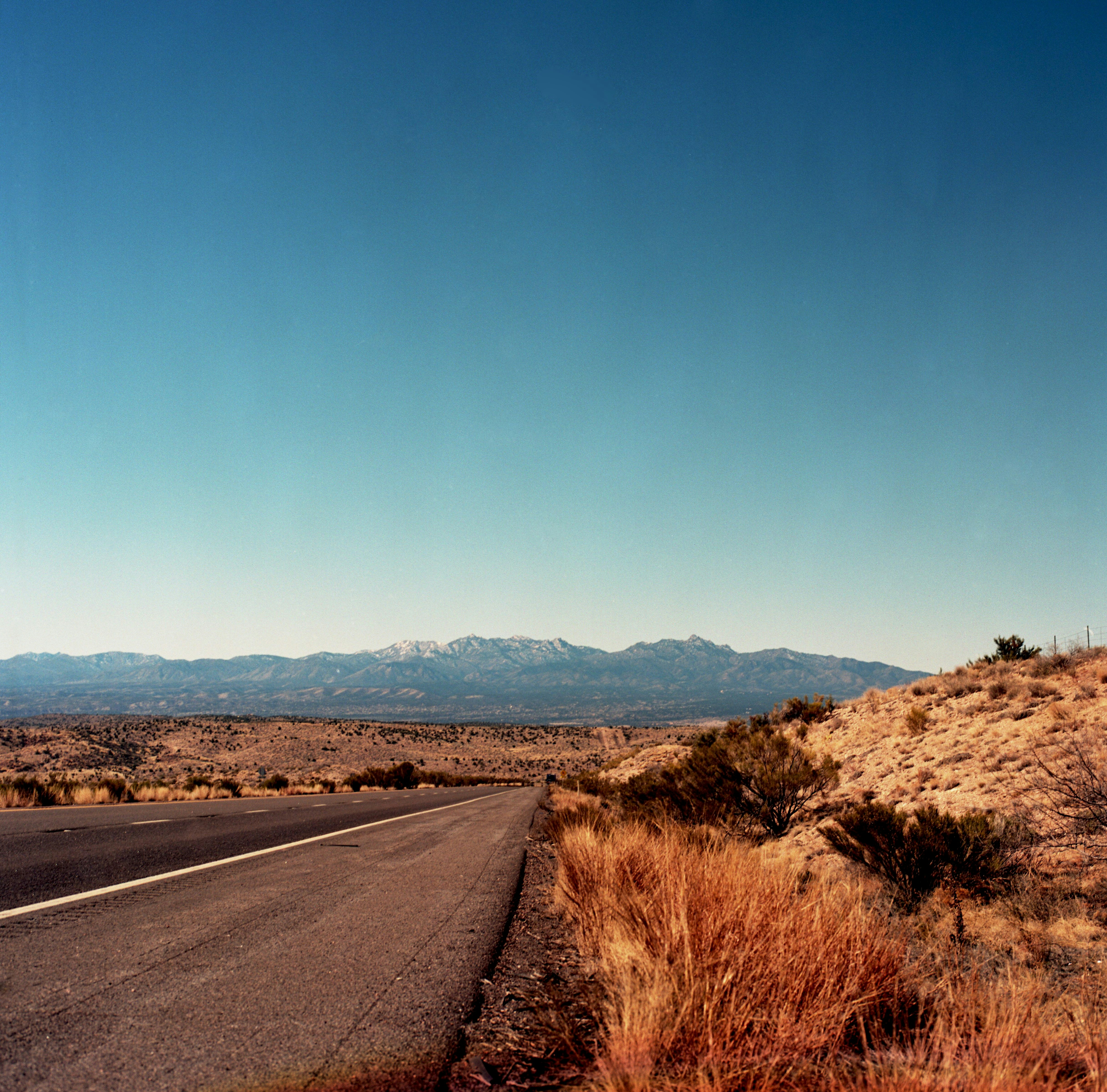 Free Unsplash photo from Kait Herzog